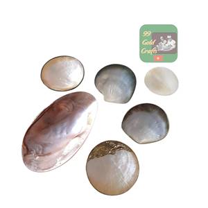 Fábrica de platos de nácar de alta calidad de Vietnam para aperitivos de banquetes de boda y regalos de recuerdo económicos y de moda. - Product Image 2