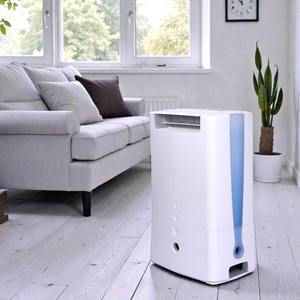 Deshumidificador de Alta Calidad con Ionizador, Funcionamiento Continuo de 24 Horas - Product Image 1