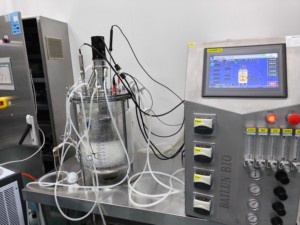 Le bioréacteur en verre à paroi unique de 2L nettoie soigneusement et se prépare pour la prochaine course. - Product Image 6