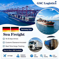 Service de logistique maritime fiable de la Chine vers l'Allemagne, DDP, pour l'expédition de marchandises en gros