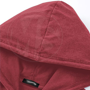Premium Quality Latest Design Basics Gym Hoodies Sustainable Gym Hoodies In Stock Gym Hoodies - Product Image 3