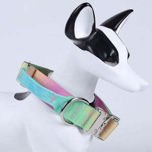 Collier pour chien en cuir véritable de luxe, large et conique, pour lévrier et whippet, design extra large - Product Image 2