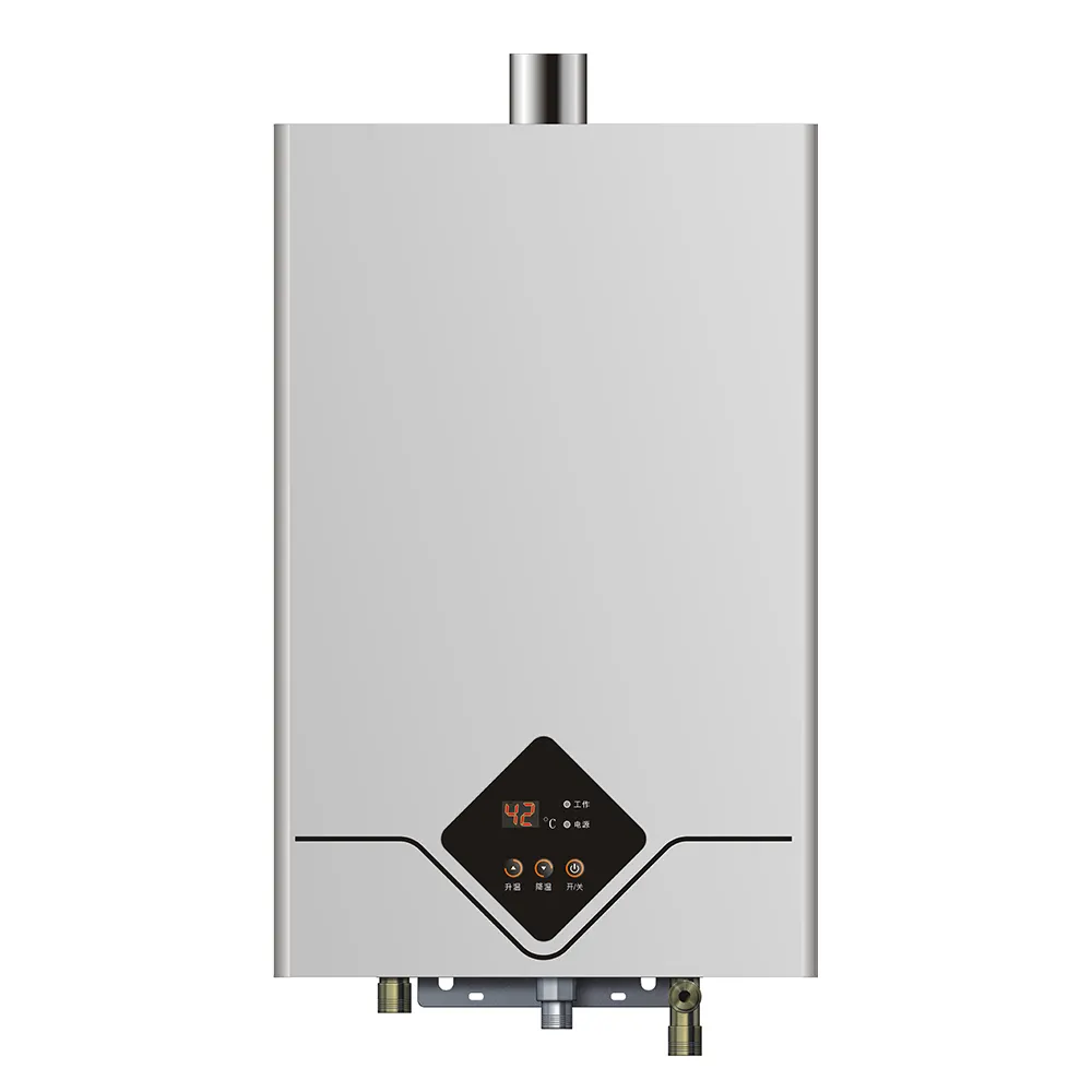 Pemanas air Gas konstan, termostat tipe seimbang untuk mandi di rumah, pemanas air panas 10L 11L 12L 13L 16L LPG NG