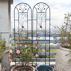 Set di 2 tralicci da giardino in metallo nero stile pavone, 220 cm x 50 cm, antiruggine, per supporto fiori da esterno e piante rampicanti, recinzione e cancello - Product Image 6