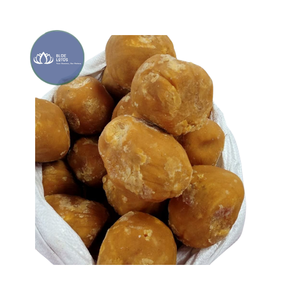 Poudre de sucre de palme de qualité commerciale, la plus vendue, en vrac pour ingrédients de boulangerie - Product Image 1