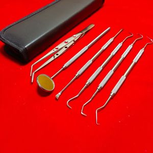Kit de nettoyage dentaire FORGELINE, fil dentaire, éliminateur de plaque, soins bucco-dentaires, outil dentaire, 6 pièces, certifié CE, acier inoxydable - Product Image 1