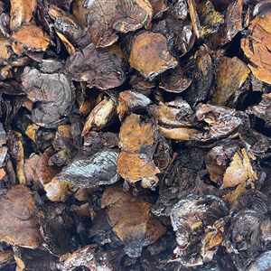 Granulés de coques de noix de cajou broyées, biocarburant, source d'énergie biomasse, 4500 Kcal, fabricant vietnamien - Product Image 5