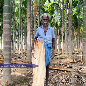 Plato de hoja de palma sostenible de calidad premium con logo personalizado, plato desechable biodegradable para ensalada, para marcas de catering boutique. - Product Image 5