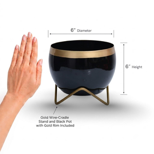 Maceta Negra Brillante con Borde Dorado y Soporte Metálico, Macetero Decorativo Moderno para Plantas de Interior, Decoración de Lujo para el Hogar - Product Image 3