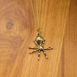 Collar con Colgante de Araña 3D de Latón Chapado en Oro, Joyería Vintage Gótica con Dijes de Insectos, Accesorios de Halloween al por Mayor - Product Image 1