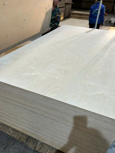 Contrachapado Comercial 4x8 de Fábrica en Vietnam, 12mm 15mm 18mm, Pino Bintangor y Abedul para Muebles, Gabinetes y Decoración de Interiores - Product Image 5