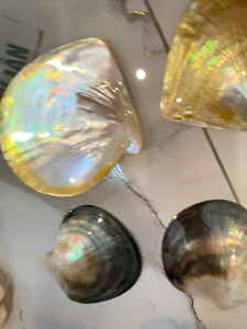 Plato de Lujo de Nácar Amarillo, Pulido por Ambas Caras, Concha Natural Artesanal de Vietnam, Plato Decorativo Premium para Exportación - Product Image 6