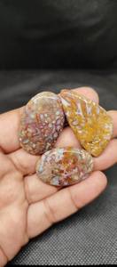 Venta al por Mayor de Preciosos Cabujones de Ágata de Raíz de Palma 100% Naturales, Piedras Preciosas Sueltas de Primera Calidad para la Fabricación de Joyas - Product Image 4