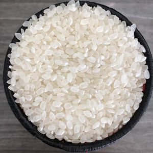 Arroz Japonica de grano corto de alta calidad para sushi, arroz blanco suave Calrose seco de Vietnam con servicio OEM, calidad UE | LINDA - Product Image 2