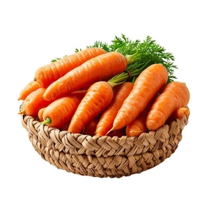 Premium Organic <b>Fresh</b> Carrots (Orange Variety) 30cm Size Mesh Bags & Cartons Custom Packing Export Grade Root <b>Vegetables</b> - Product Image 4