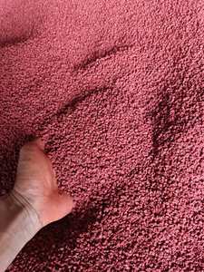 Fournisseur de graines d'annatto Prix compétitif Qualité supérieure pour les supermarchés et les chaînes de distribution - Product Image 6