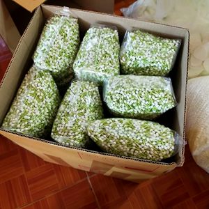 ดอกมะลิประดิษฐ์ พลาสติก งานฝีมือไทย สำหรับตกแต่งพวงมาลัย - Product Image 3