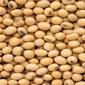 ถั่วเหลืองสดคุณภาพสูง ปลอดจีเอ็มโอ ขายส่ง พร้อมจัดส่ง สำหรับการจัดหาขายส่งและข้อกำหนดการปลูกพืชเกษตร - Product Image 6