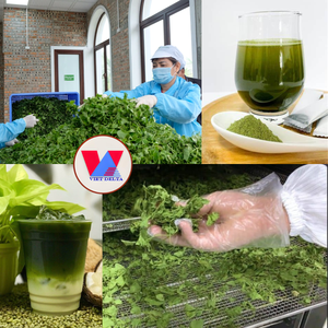 Poudre lyophilisée naturelle de qualité supérieure, extrait pur de Centella Asiatica, mélange pour boisson instantanée, boisson rafraîchissante, smoothie, jus - Product Image 4