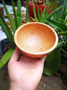 Wholesale Coconut Bowl Coconut Shell Bowl Tableware Food <b>Container</b> Dried Fruit Plate Salad Coconut Wood Bowl Set - Violet - Product Image 2