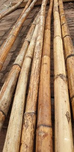 Postes de bambú natural de calidad de exportación | Proveedor y fabricante directo de fábrica de Vietnam - Product Image 2