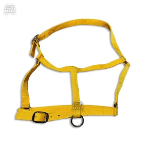 Wholesale Nylon English Saddle <b>Halter</b> for Horse Riding Custom Color Horse Accessories with SS Fittings Cheap and High Quality - Product Image 1