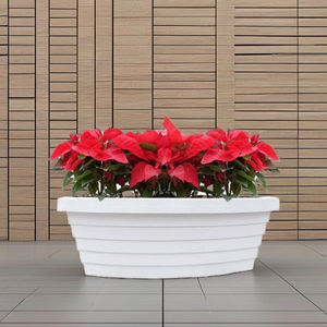 Pot de fleur moderne en PP en forme de bateau pour l'école à domicile, le restaurant et l'affichage au sol du bureau - Product Image 2