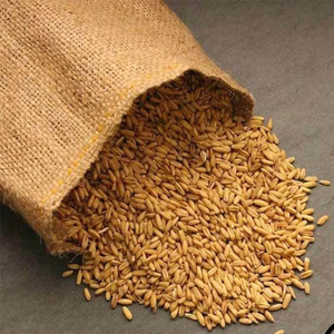Paquetes de Cereal para Bebés, Desayuno Instantáneo a Granel, <span class=keywords><strong>Avena</strong></span> y Granos con Sabor, Marca Privada, Dieta Familiar, <span class=keywords><strong>Avena</strong></span> Integral - Product Image 3