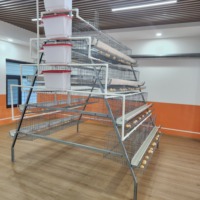 Cage à poules pondeuses de type A, équipement avicole pour poules pondeuses et différentes volailles, capacité variable