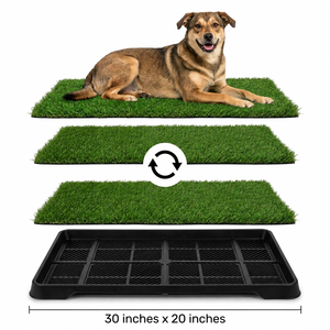 TH-PAG-150 Alfombra de Césped Artificial Moderna y Ecológica de 36" x 26" para Perros, Hiperpermeable, Reemplazable, Cortable, Inodora - Product Image 1