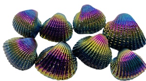 Aura Titanium Coated Shell Precio al por mayor Titanium Coated Shells Fabricación de joyas Shell Unique Aura Sells - Product Image 3