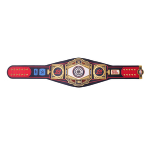 เข็มขัดมวยปล้ำ แบรนด์ตามสั่ง คุณภาพสูง งานพรีเมียม คุณภาพเยี่ยม ผู้จัดจำหน่ายขายส่ง ODM 2026 สีสันโดดเด่น - Product Image 3