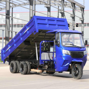 Motocicleta de Carga Pesada de Tres Ruedas con Tanque de Combustible, Toldo, Motor Autodescargable, Refrigerado por Agua, Nueve Ruedas - Product Image 2