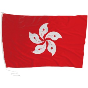 Bandera Nacional Personalizada de Doble Cara de Poliéster para Exhibición en Asta de Bandera - Product Image 4