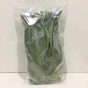 Hojas de guanábana secas premium |   Té de Hojas de Graviola Enteras y Cortadas (TBC) Orgánico - Product Image 6