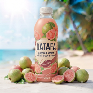 Le meilleur choix pour les vacances d'été : 100% eau de coco et purée de pastèque sans sucre ajouté, bouteille PET 500ML - Product Image 3