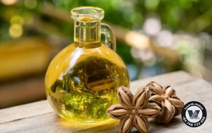 Huile de graines de Sacha Inchi 100% naturelle, huile de Plukenetia Volubilis de qualité cosmétique pour sérums faciaux, vente en gros, 100ml, 500ml, 1L - Product Image 5