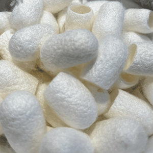 Cocon de ver à soie, matériau en fibre de soie naturelle pour la fabrication textile, la décoration artisanale et les outils cosmétiques, fournisseur du Vietnam - Product Image 4