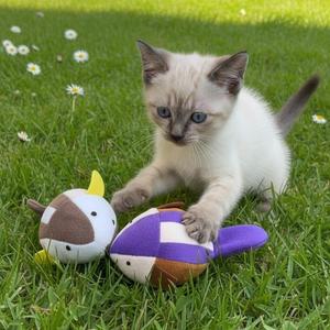 ของเล่นแมวแบบสั่น YOMMY ขนาด 10 ซม. 10 แบบ ของเล่นจำลองสัตว์แบบไขลาน ของเล่นสัตว์เลี้ยงแบบมีปฏิสัมพันธ์และการเคลื่อนไหว - Product Image 4