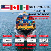 Agent de fret maritime DDP DDU DAP, agent transitaire maritime, expédition de la Chine vers les États-Unis, le Canada, le Mexique