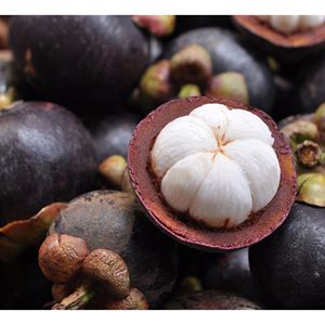 Fresh Mangosteen Tropical Fruit Whole and Halved Organic Harvest from Vietnam for Wholesale Export Supermarkets and Distributors - Product Image 1