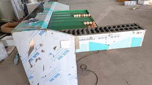 Egg Weighing Grading Machine Egg Sorter With <b>Laser</b> <b>Printer</b> Grader Sorting Egg - Product Image 2