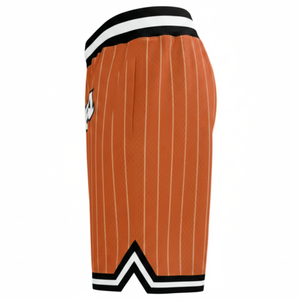 Nuevos pantalones cortos de malla personalizados con logo, pantalones cortos deportivos de malla para entrenamiento, pantalones cortos de baloncesto para hombre, oferta con MOQ y precio bajos - Product Image 6