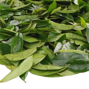 Intégrez-les dans votre routine quotidienne pour un thé rafraîchissant et sain. - Product Image 3