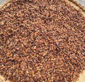 [KEITH VILACONIC] ANIS ÉTOILE CASSÉ DE QUALITÉ EXCEPTIONNELLE À DES PRIX IMBATTABLES POUR L'EXPORTATION - Product Image 4