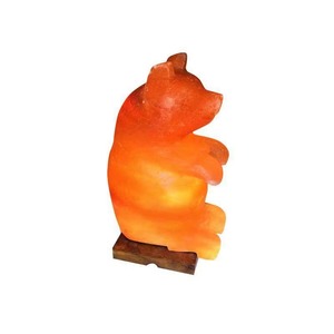 Lampe en forme d'ours en peluche en sel rose de l'Himalaya, fabriquée à la main, lumière de nuit en cristal naturel, décoration d'intérieur, fabricant OEM - Product Image 2