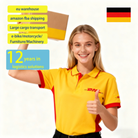 Transitaires Chine-Europe pour la livraison de motos électriques en Allemagne, porte-à-porte DDP, 45-50 jours, assurance, emballage personnalisé
