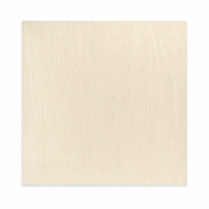 600x600mm Ceramic Glossy Exterior 5 Year Warranty Modern Design External Wall Use Anti-Slip Heat Firebrick ACCENTS Villa - Product Image 1