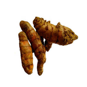 Doigts de curcuma entiers indiens pour les entreprises de transformation alimentaire, les distributeurs d'épices, les fabricants de curry et les fournisseurs mondiaux d'ingrédients - Product Image 4
