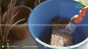 High quality cocopeat <b>block</b> 5kg compressed coco <b>coir</b> pith enhancing soil structure quality commercial farming substrate - Product Image 6